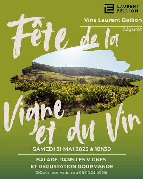 balade vigneronne Vin Laurent Bellion