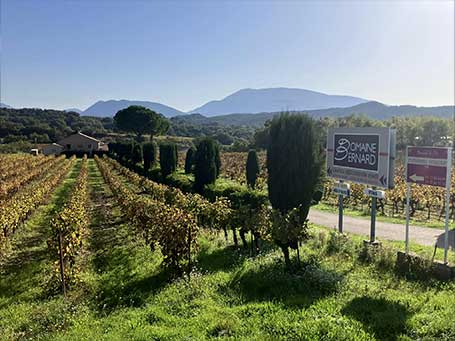 Domaine Bernard à Saint-Romain en Viennois