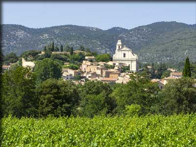 Champs de vignes à bédoin dans le Vaucluse, vignoble et terroir