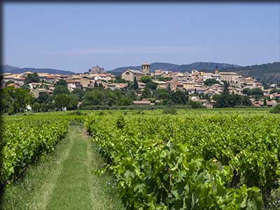 Caromb dans le Vaucluse, vignoble et terroir viticole A.O.P. Ventoux