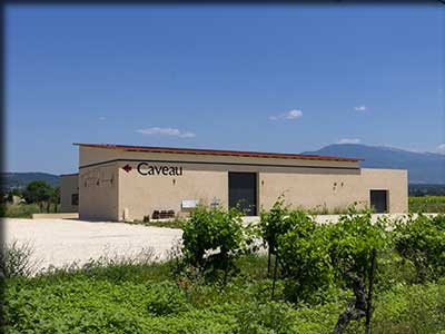 Domaine viticole de Mas Caron à Caromb