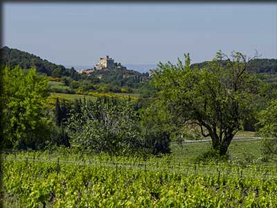 Le Barroux dans le Vaucluse terroir, vignoble et château