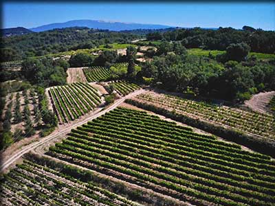 Domaine viticole Souleyrol à Malemort-du-Comtat dans le Vaucluse, vignoble et terroir