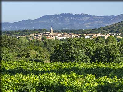 Malemort du Comtat dans le Vaucluse, vignoble et terroir