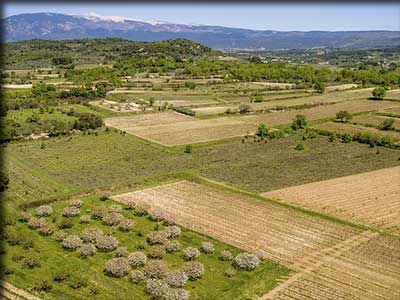Domaine viticole Plein Pagnier à Mazan dans le Vaucluse terroir et vignoble