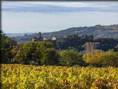 Producteurs de vin à Puyméras en Vaucluse