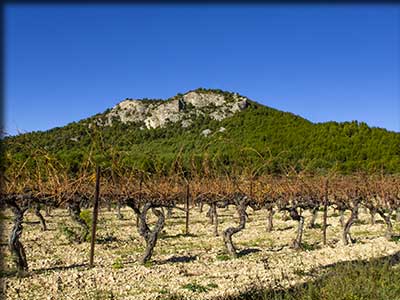Le terroir et le vignoble de Saint-Hippolyte le Graveyron au Sud des Dentelles de Montmirail