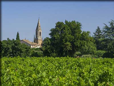 Village de Violès dans le Vaucluse. Vignes, vignoble et terroir viticole.
