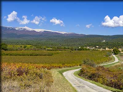 Routes des vins dans le Vaucluse au Sud du mont Ventoux